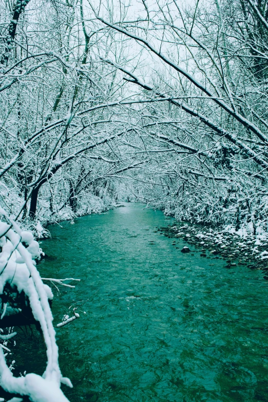 a river running through a forest covered in snow, hurufiyya, mount olympus, taken in the 2000s, mint, willows