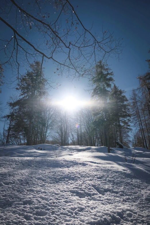 a person riding skis down a snow covered slope, by Wolfgang Zelmer, unsplash contest winner, romanticism, sun filtering through trees, new hampshire, medium format. soft light, two suns are in the sky