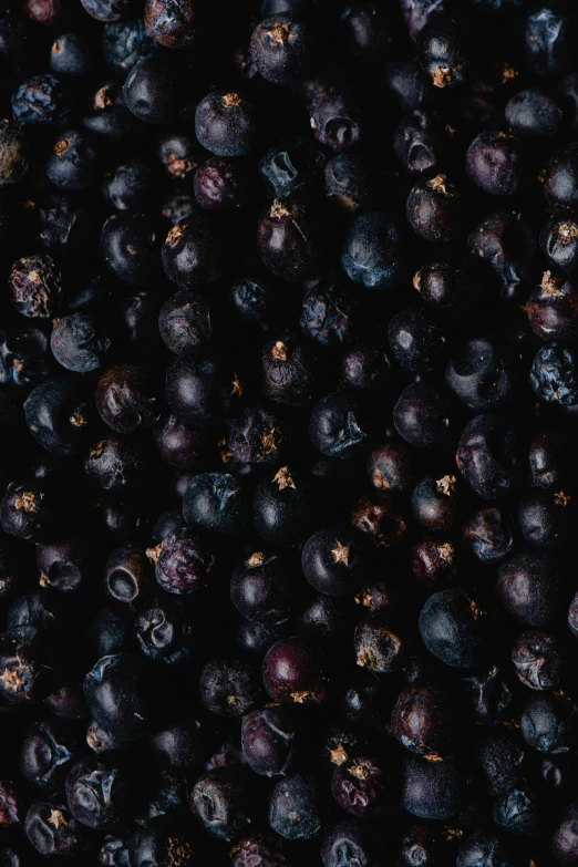 a close up of a bunch of blueberries, an album cover, by Jesper Knudsen, hurufiyya, background image, large format, multiple stories, f / 1