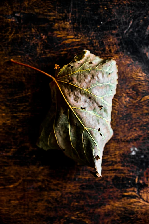a leaf sitting on top of a wooden table, culinary art photography, ignant, pale and sickly, list