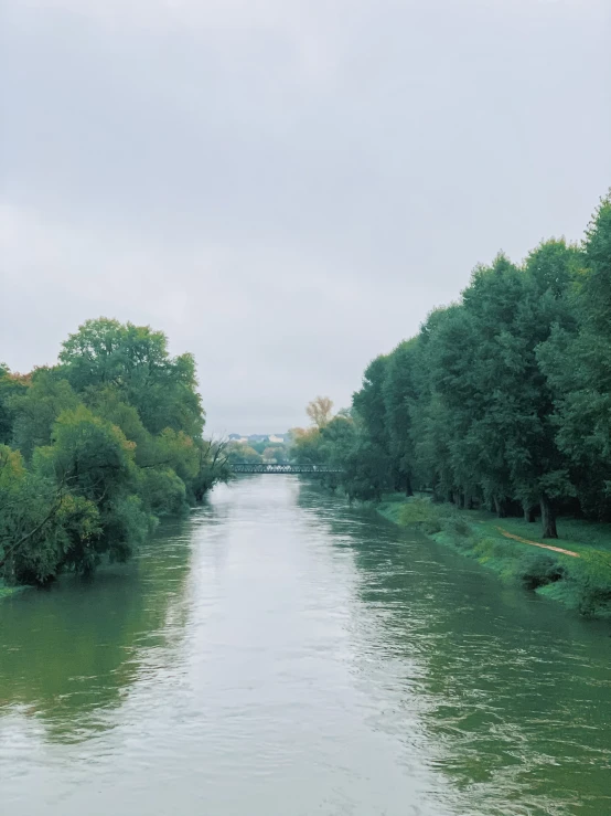 a river running through a lush green forest filled with trees, an album cover, unsplash, renaissance, urban view in the distance, munich, low quality photo, overcast