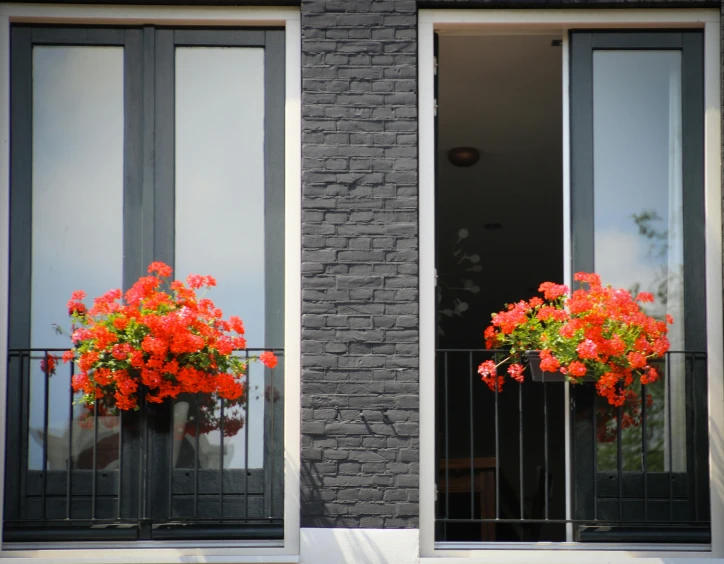 a couple of windows with red flowers in them, pexels contest winner, charcoal and silver color scheme, helmond, black and orange, planters