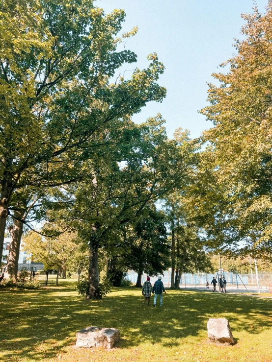 a group of people standing on top of a lush green field, maple trees along street, lakeside, well shaded, college