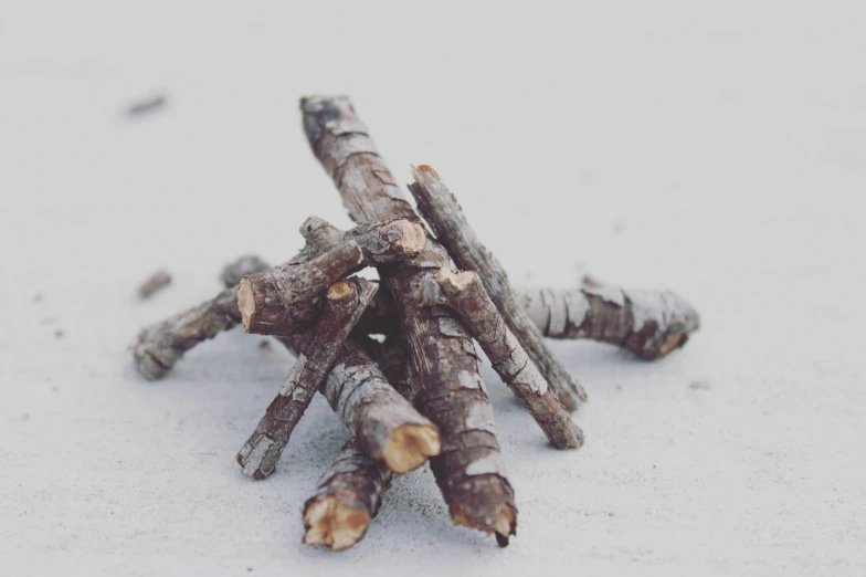 a pile of sticks sitting on top of a snow covered ground, a macro photograph, unsplash, on a pale background, woodfired, detailed product image, dessert