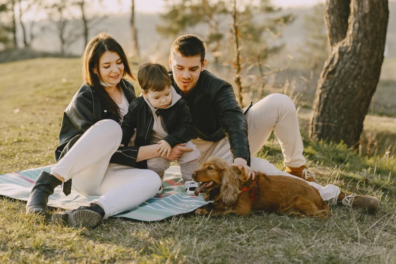 a man and woman sitting on a blanket with a dog, husband wife and son, canva, thumbnail, game