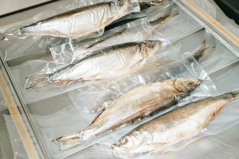 a tray filled with fish sitting on top of a stove, a portrait, unsplash, mingei, plastic wrap, vanilla, mullet, various sizes