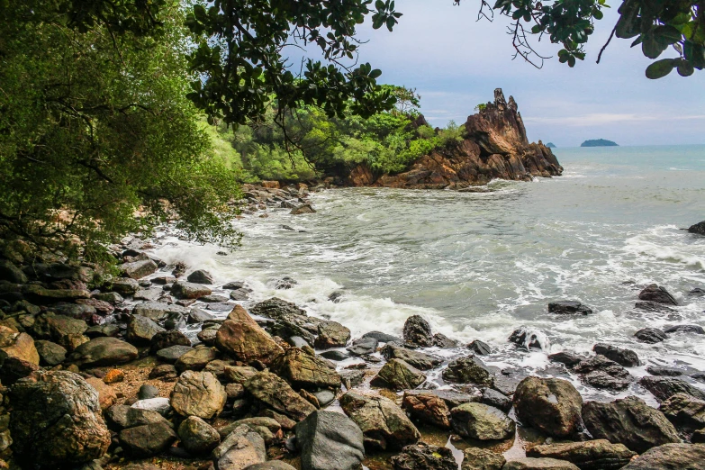 a rocky beach next to a body of water, wet lush jungle landscape, “ iron bark, beautiful views, fan favorite