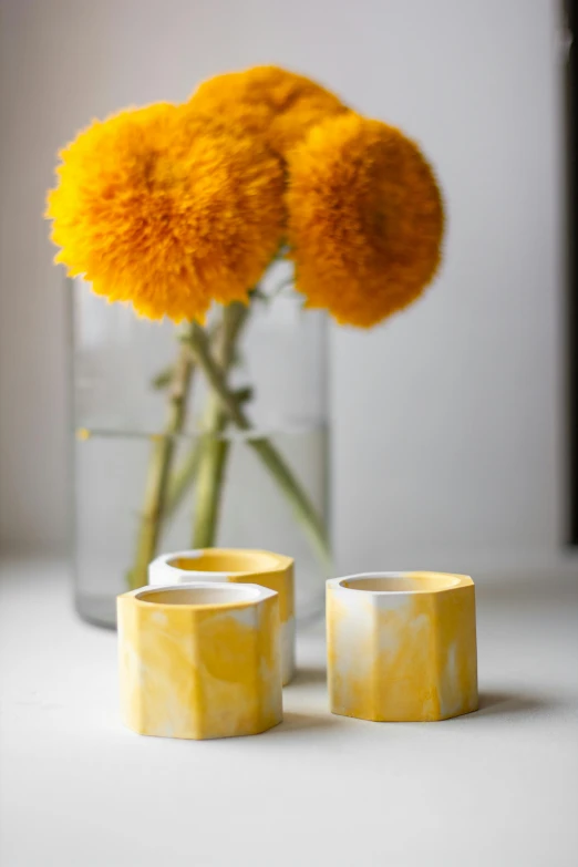 a vase filled with yellow flowers on top of a table, inspired by Giorgio Morandi, minimalism, 3 - piece, bismuth cups, faceted, cheesy