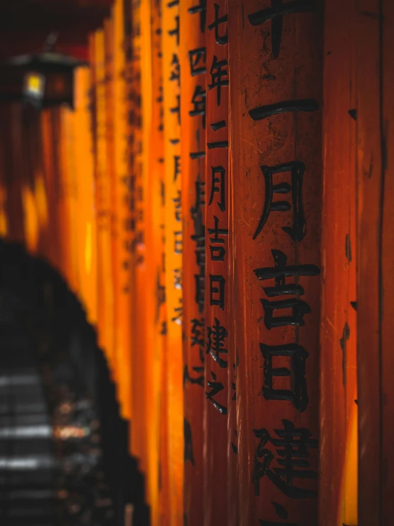 a row of orange tori tori tori tori tori tori tori tori tori tori tori tori tori tori, inspired by Torii Kiyomoto, pexels contest winner, neon glowing wood, ancient writing, profile image, rain lit