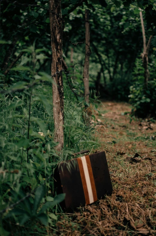 a suitcase sitting in the middle of a forest, an album cover, unsplash, conceptual art, ignant, 1 9 9 7, portra, ( ( photograph ) )