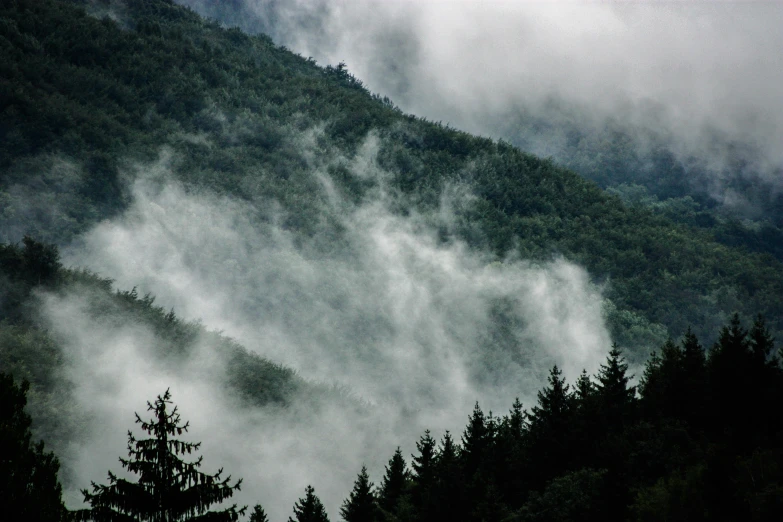 a forest filled with lots of trees on top of a mountain, by Muggur, pexels contest winner, romanticism, rain and smoke, the sky is gray, appalachian mountains, clouds swirling