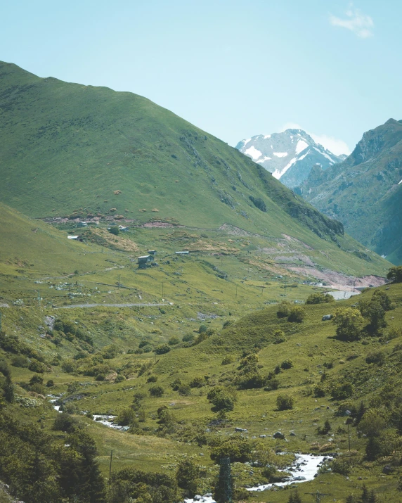 a herd of cattle standing on top of a lush green hillside, by Muggur, pexels contest winner, les nabis, : psychedelic ski resort, seen from outside, landslide road, vintage look
