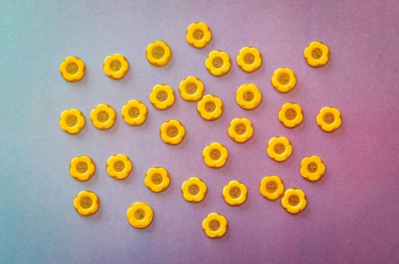 a pile of yellow donuts sitting on top of a purple and blue surface, by Mario Bardi, visual art, lego mini figures, crystallic sunflowers, overhead photography, buttons