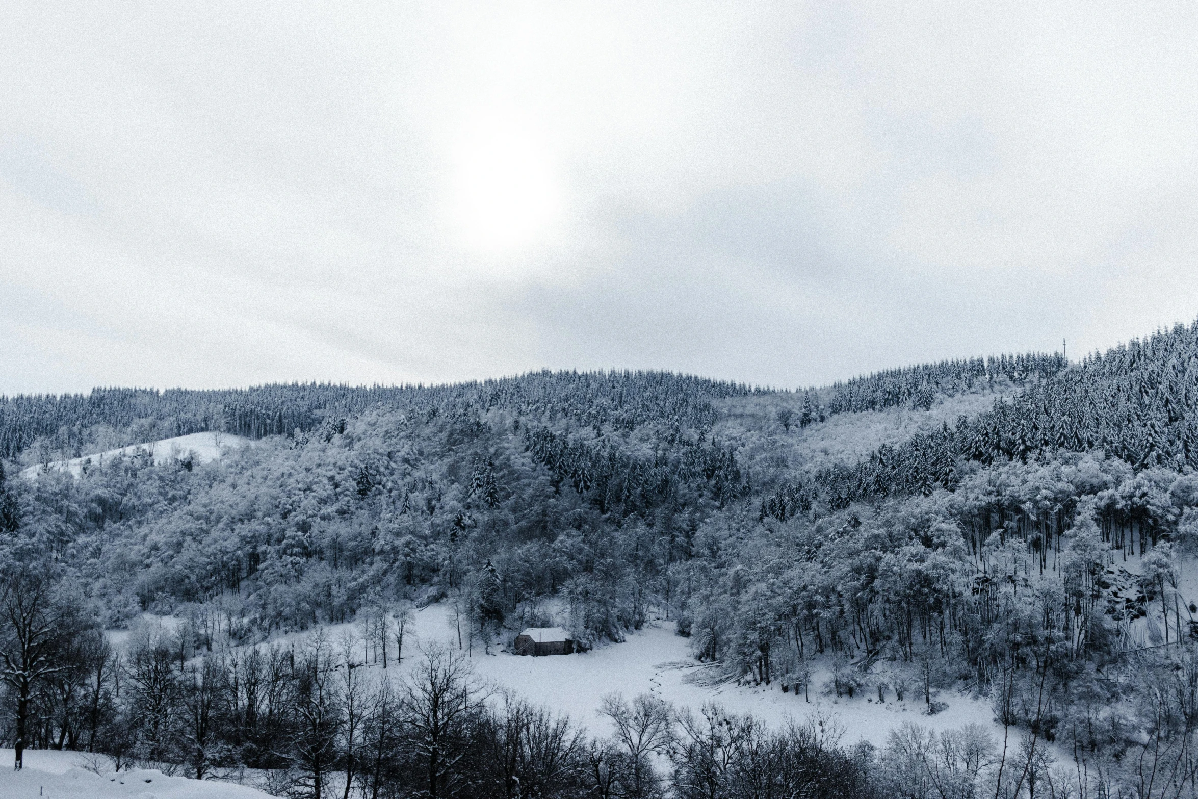 a man riding skis down a snow covered slope, by Adam Szentpétery, pexels contest winner, les nabis, house in forest, panoramic view, white and grey, sparse frozen landscape