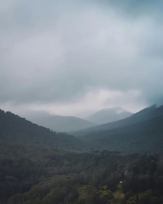 a person flying a kite on top of a lush green hillside, a black and white photo, unsplash contest winner, australian tonalism, mist in valley, gloomy colors, snow capped mountains, grey skies with two rainbows