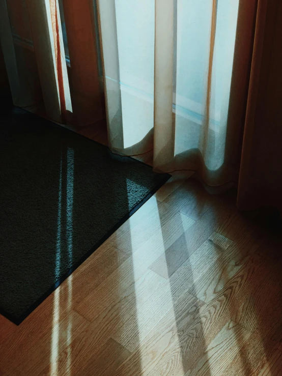 a cat laying on the floor in front of a window, an album cover, inspired by Elsa Bleda, hyperrealism, hazy light rays, ignant, photo-realistic unreal engine, floors