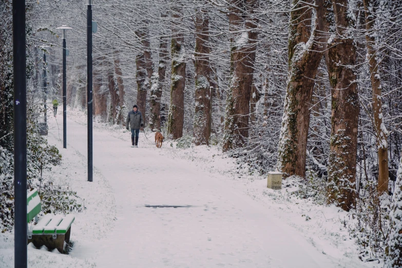 a person walking down a snow covered path, by Lucia Peka, pexels contest winner, glasgow, fan favorite, urban surroundings, brown