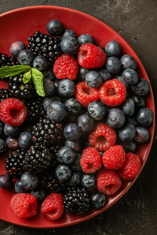 a red plate filled with blueberries and raspberries, shutterstock contest winner, renaissance, black, 2 2 years old, mix, mint