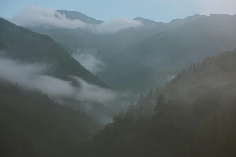 a view of the mountains from the top of a hill, inspired by Elsa Bleda, pexels contest winner, romanticism, foggy forest, atmospheric establishing shot, grey, forest clearing