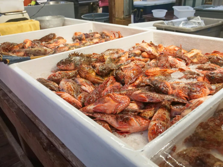 a couple of trays of food sitting on top of a counter, a photo, fish seafood markets, thumbnail, amanda clarke, korean