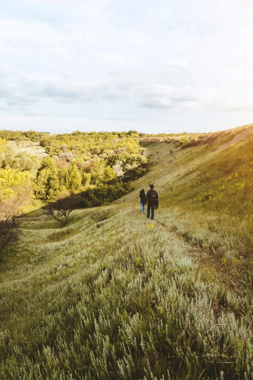 a couple of people that are walking in the grass, a picture, unsplash contest winner, prairie landscaping, hillside, ravine, yeg