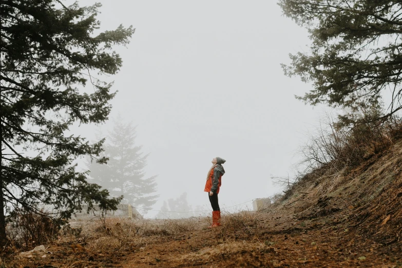 a person standing in the middle of a forest, grey skies, profile image, standing on a hill, explore