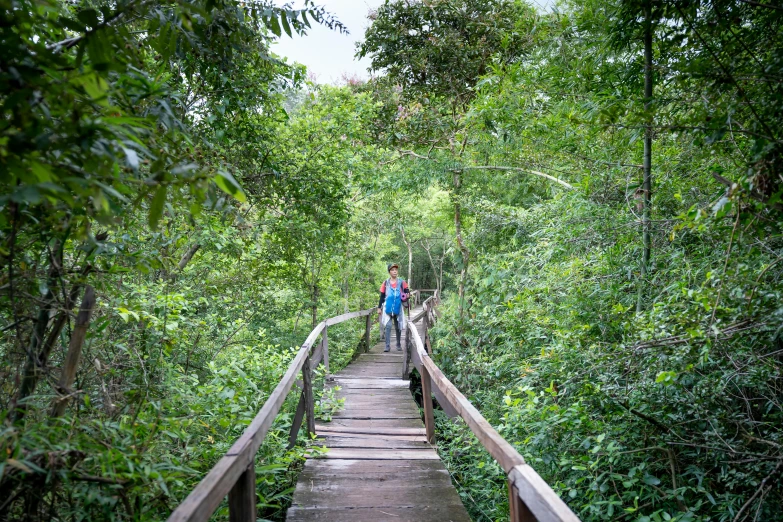 a couple of people that are standing on a bridge, sumatraism, path through a dense forest, shipibo, professional photo, thumbnail