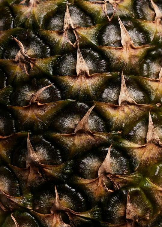 a close up of a pineapple on a table, by Adam Chmielowski, slide show, hyperdetailed photograph, worn, jungle fruit