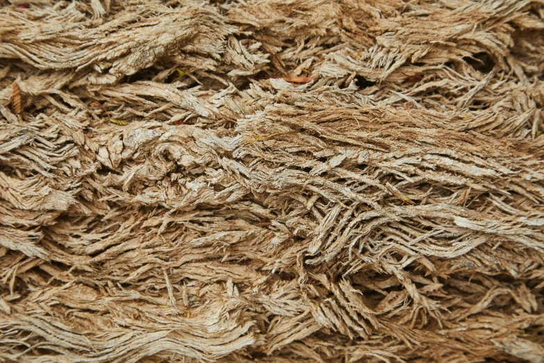 a close up of a pile of wood shaving, an album cover, inspired by Patrick Dougherty, unsplash, moist dirty carpet, ignant, thatched roofs, elegant high quality