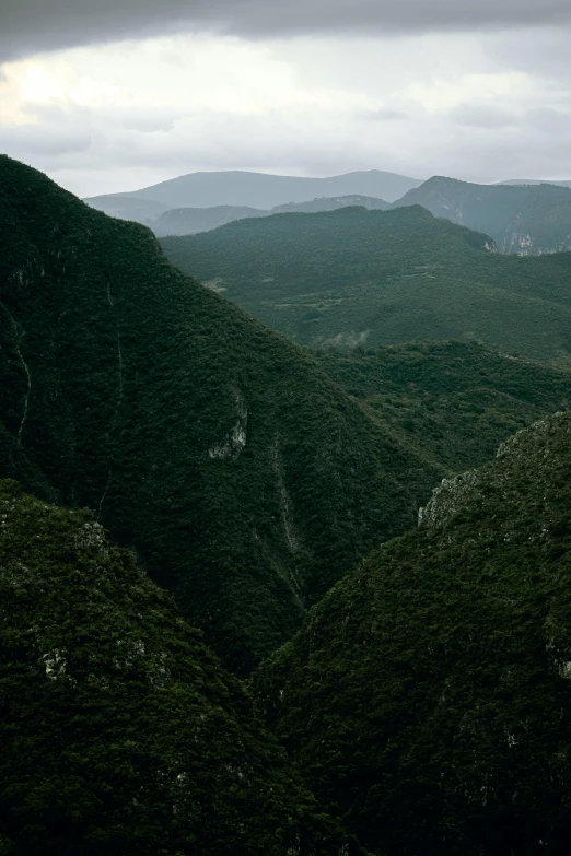a view of the mountains from the top of a hill, dark green, inside a gorge, hegre, grey
