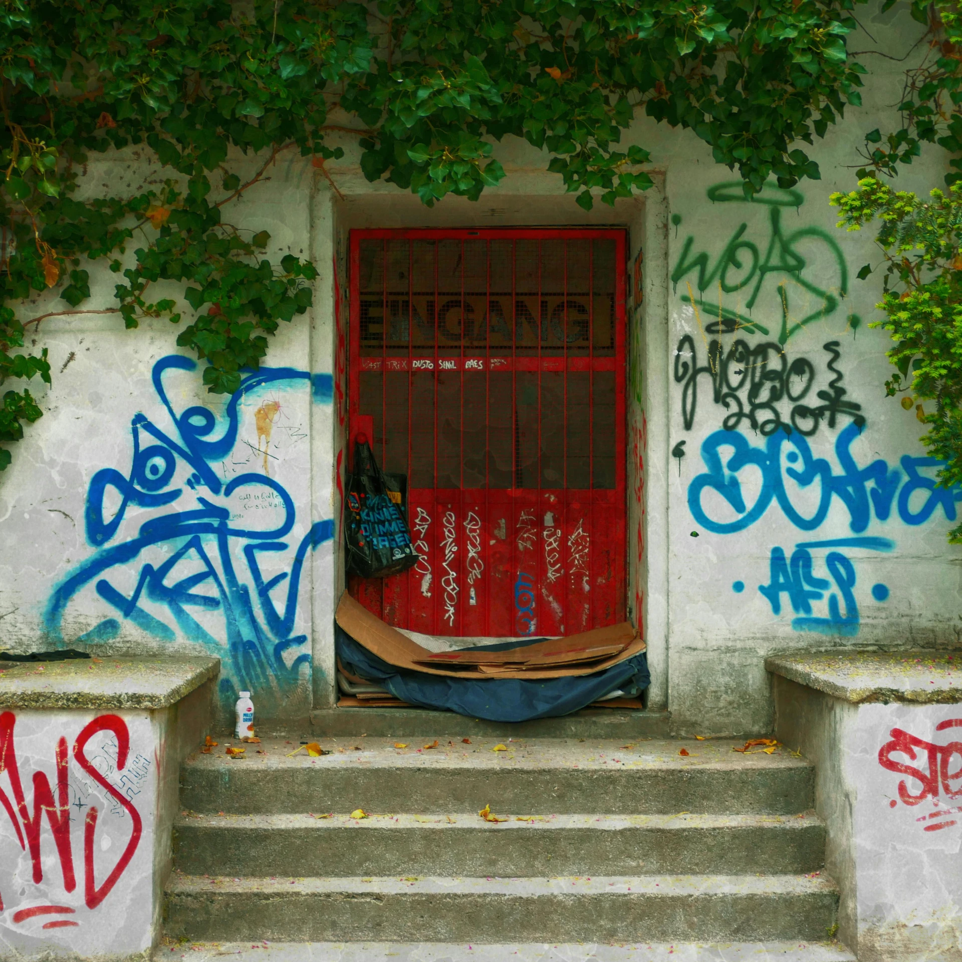 a bunch of graffiti on the side of a building, by Micha Klein, pexels, a door you must never open, an overgrown library, instagram photo, in 2 0 1 2