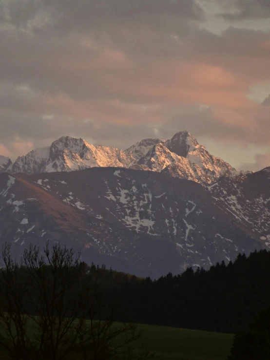 a couple of sheep standing on top of a lush green field, snow capped mountains, pink golden hour, dimly - lit, pyranees