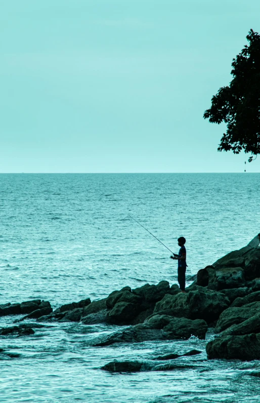 a man standing on top of a rock next to the ocean, fishing pole, a fish climbing a tree, in the evening, secluded