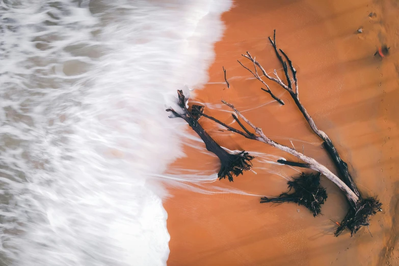 a dead tree laying on top of a sandy beach, by Lee Loughridge, unsplash contest winner, land art, water swirling, red sand, a high angle shot, foamy waves