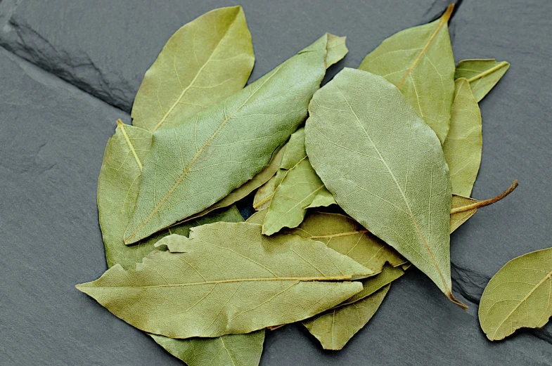 a close up of a bunch of leaves on a table, sage green, mixture turkish and russian, full product shot, magnolia