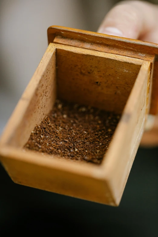 a person holding a wooden box filled with dirt, a macro photograph, unsplash, renaissance, ancient coffee machine, granular detail, super detailed image, ants