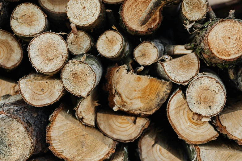 a pile of wood stacked on top of each other, by Emma Andijewska, trending on pexels, background image, thumbnail, multiple stories, closeup portrait shot