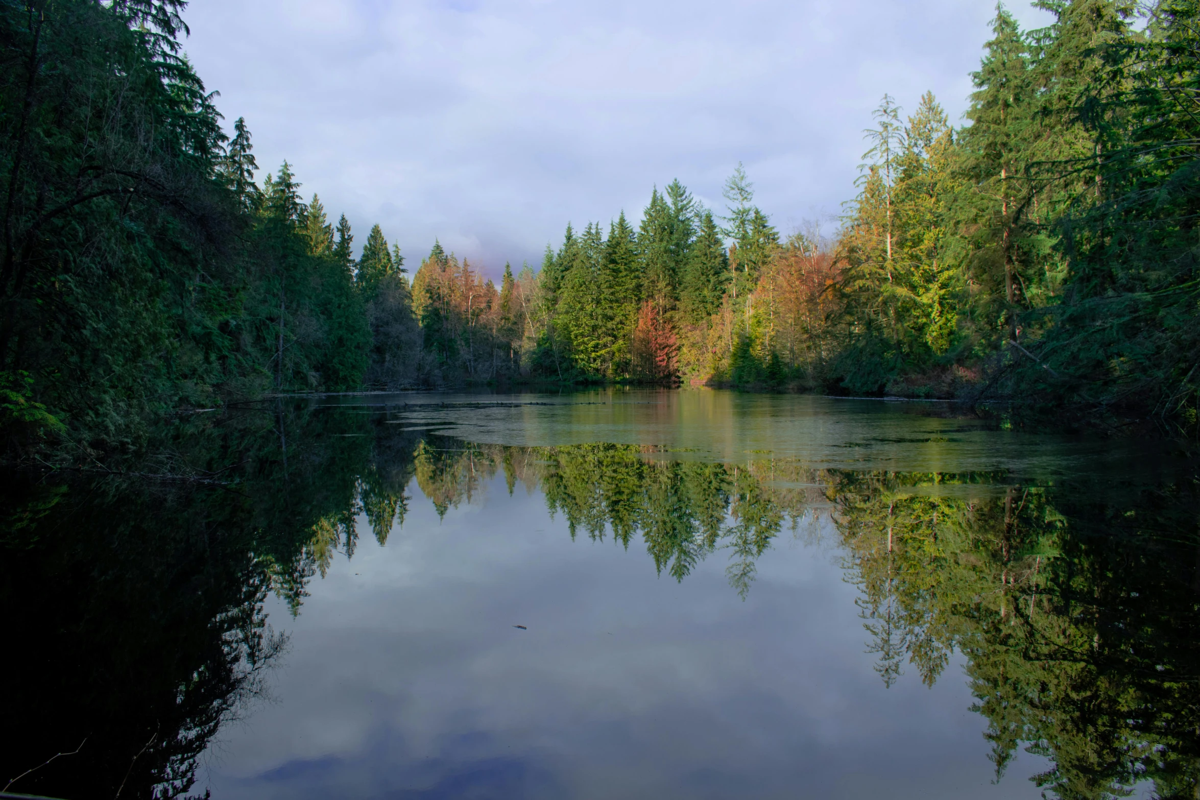 a large body of water surrounded by trees, by Jan Rustem, fan favorite, vancouver, ponds of water, slide show