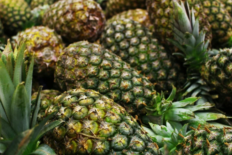 a pile of pineapples sitting on top of each other, square, greens), thumbnail, exploitable image