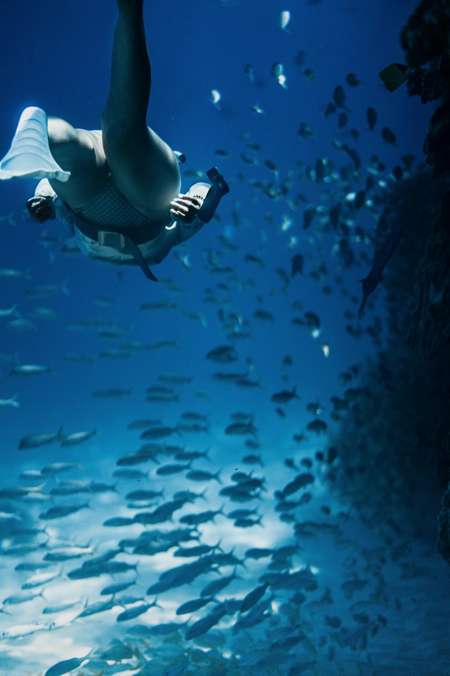 a man swimming in the ocean surrounded by fish, hanging upside down, taken in the late 2010s, jen atkin, high-quality photo