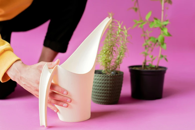 a woman kneeling down next to a potted plant, inspired by Hendrik Gerritsz Pot, unsplash, plasticien, watering can, petal pink gradient scheme, soft white rubber, showing curves