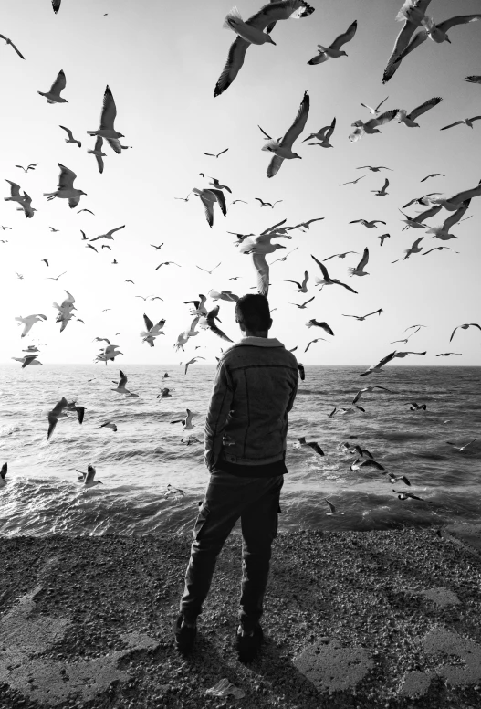 a man standing on top of a beach surrounded by birds, a black and white photo, by Ahmed Yacoubi, 15081959 21121991 01012000 4k, music album art, male, feeds on everything