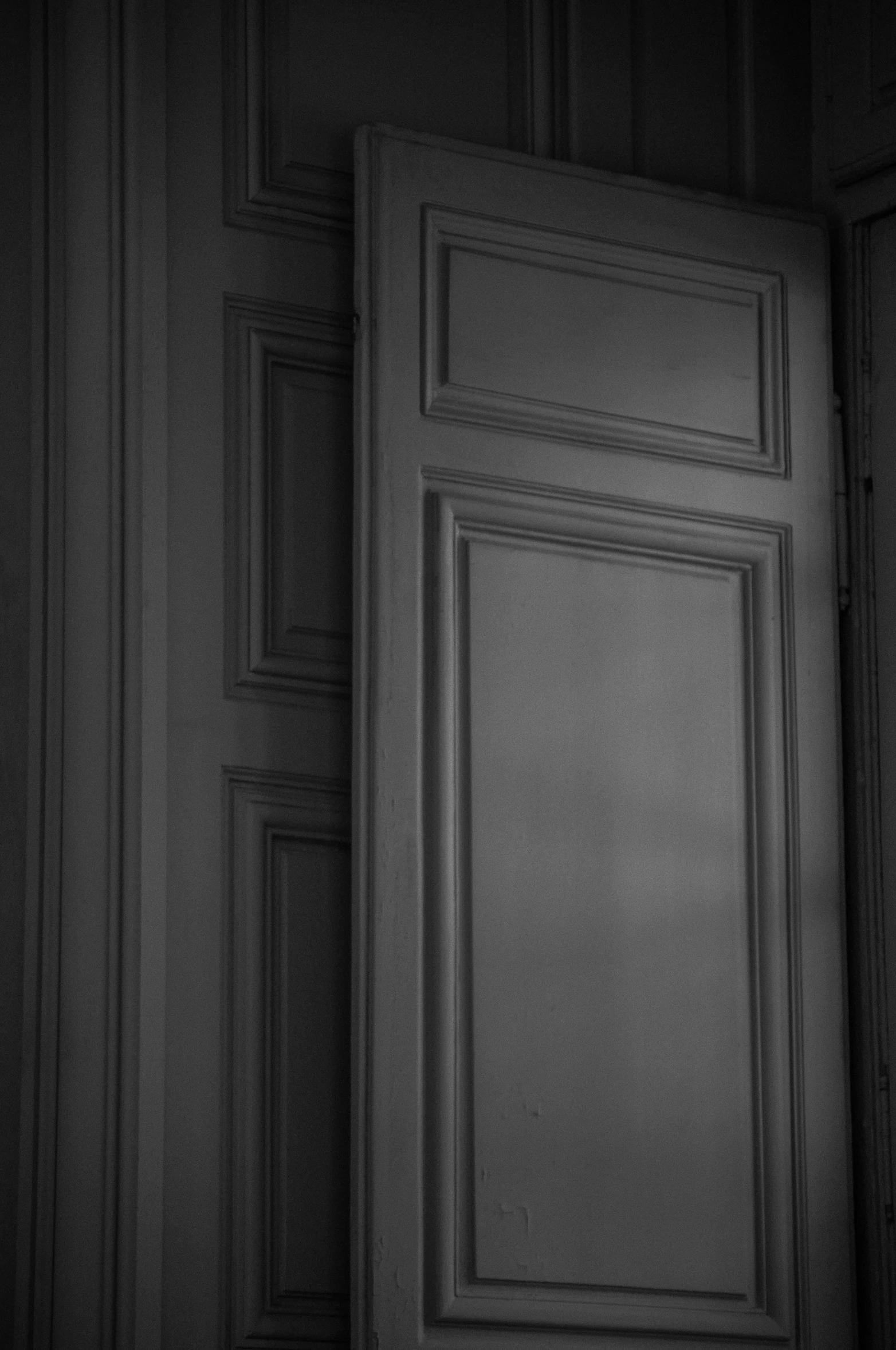 a black and white photo of an open door, a black and white photo, by Adélaïde Victoire Hall, baroque, smooth panelling, colors, detail, jin kim