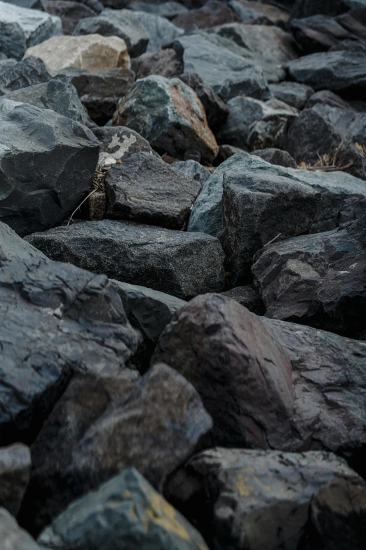 a teddy bear sitting on top of a pile of rocks, coal, up-close, background image, rocky roads