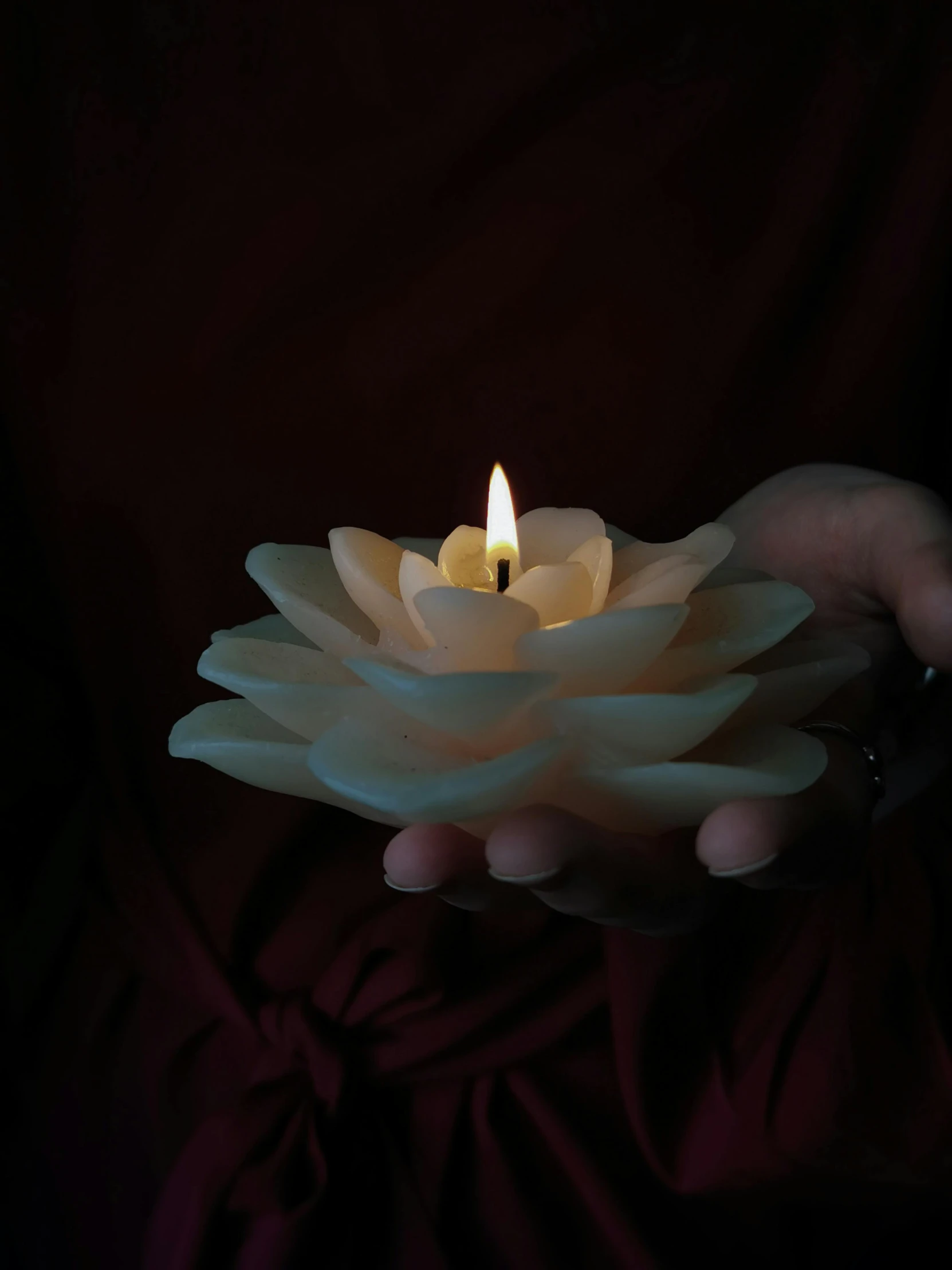 a person holding a lit candle in their hand, an album cover, inspired by Elsa Bleda, unsplash, sitting on a lotus flower, resin, ultra realistic ”, foam