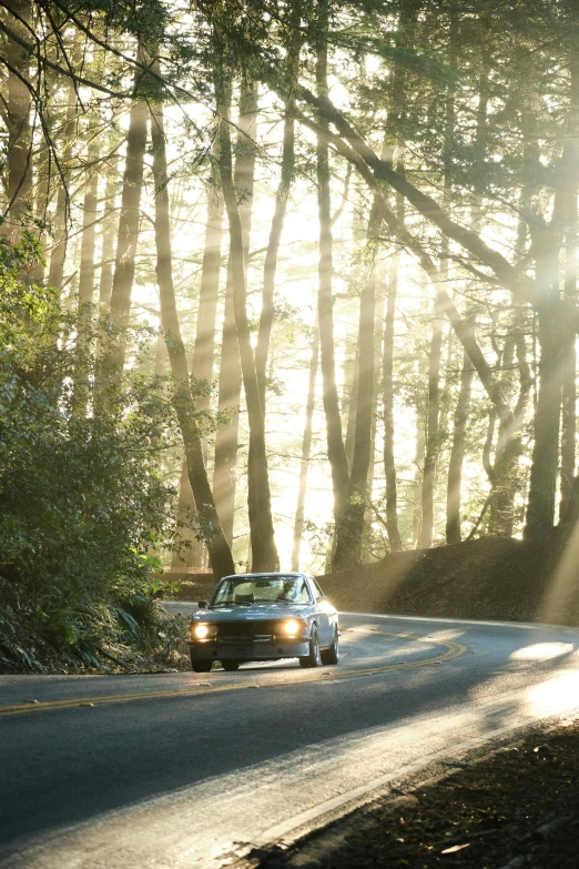 a car driving down a winding road in the woods, by Daren Bader, sun flairs, bay area, classic cars, on the coast