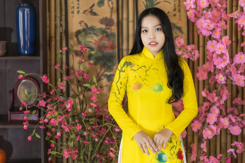 a woman in a yellow dress posing for a picture, inspired by Tan Ting-pho, visual art, background image, ao dai, thumbnail, uploaded