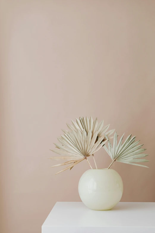 a white vase sitting on top of a white table, by Emily Shanks, trending on unsplash, palm skin, mauve background, fan favorite, palm lines