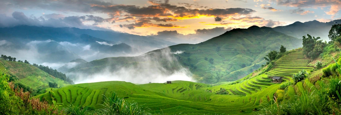 a beautiful view of rice terraces in the mountains, by Reuben Tam, pexels contest winner, light green mist, sunset view, avatar image, grassy hill