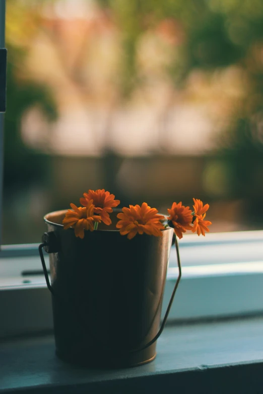 a pot of flowers sitting on a window sill, orange and black tones, brightly-lit, marigold, muted fall colors
